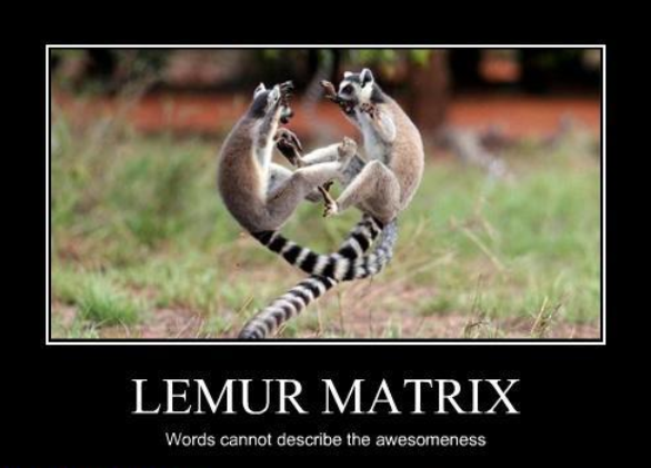 [Image: lemur-matrix.png]